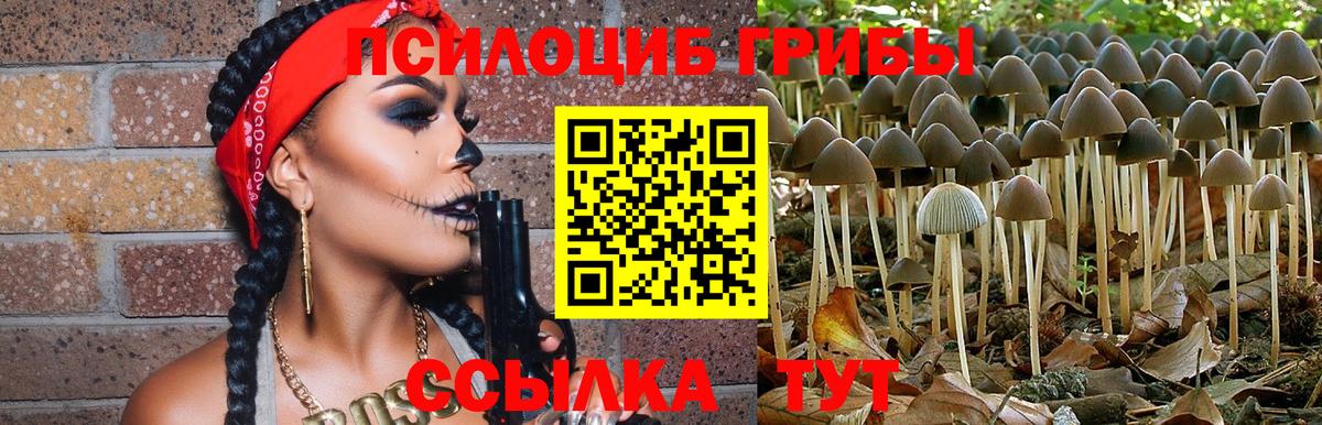 Псилоцибиновые грибы Cubensis Советская Гавань