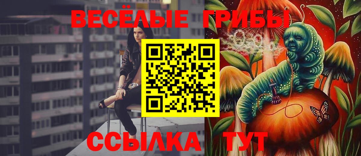 Советская Гавань  Псилоцибиновые грибы ЛСД  Вход с VPN 